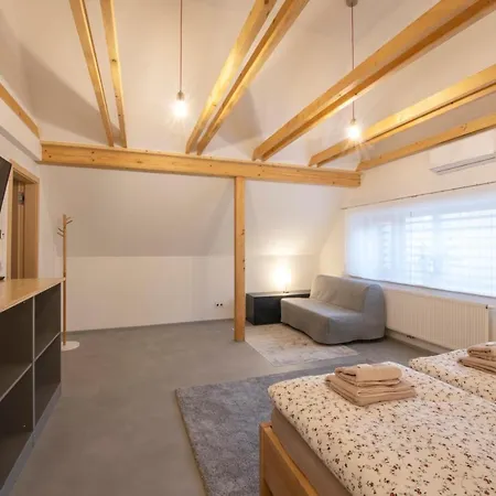 Apartment U Jizery *