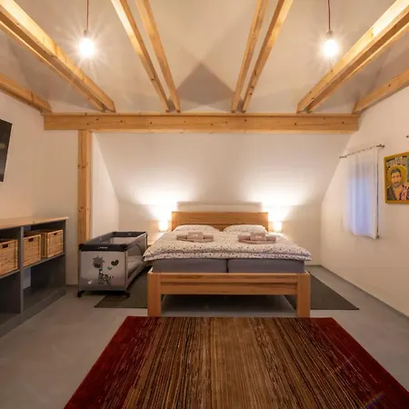 Apartment U Jizery